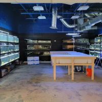 Fluid Dynamics Aquarium Services and Store ico