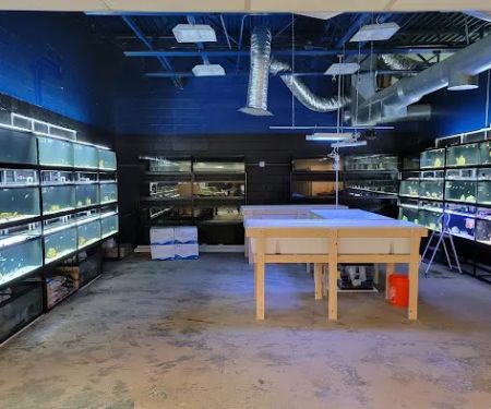 Fluid Dynamics Aquarium Services and Store