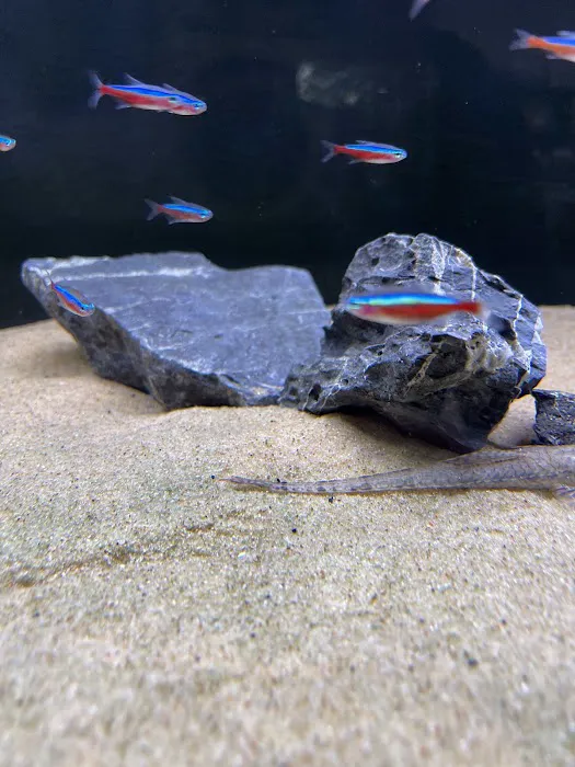 Fluid Dynamics Aquarium Services and Store Picture 4