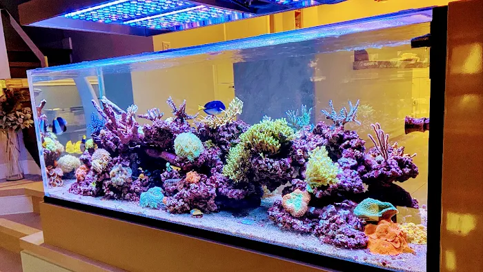 Fluid Dynamics Aquarium Services and Store Picture 6