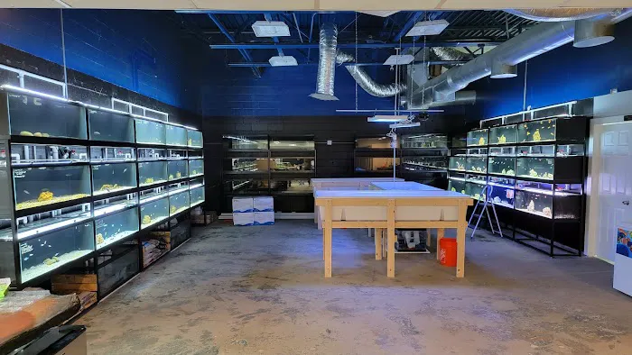 Fluid Dynamics Aquarium Services and Store Picture 8