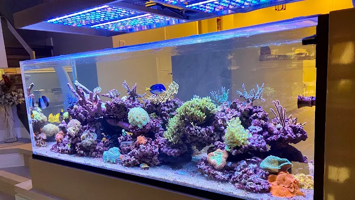 Fluid Dynamics Aquarium Services and Store Picture 10