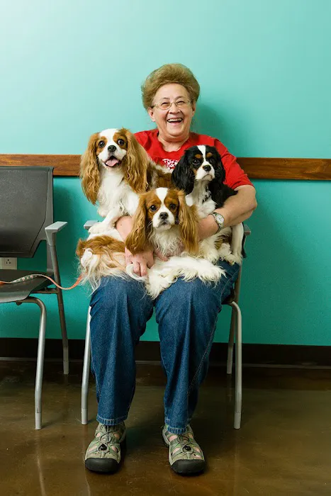 BluePearl Pet Hospital Picture 5