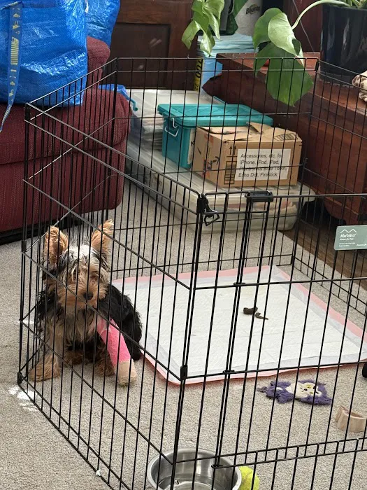 BluePearl Pet Hospital Picture 4