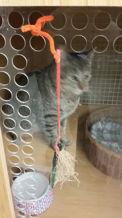 Petco Picture 4