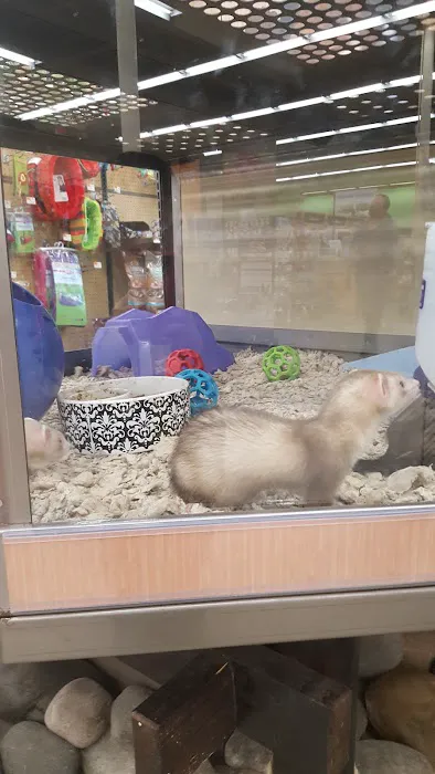 Petco Picture 5