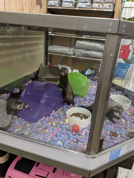 Petco Picture 8