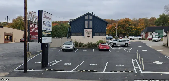 Whitelands Animal Hospital Picture 3