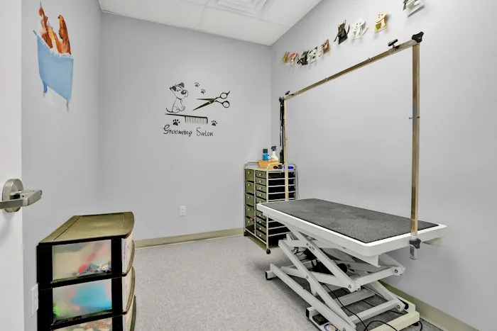 East Bradford Veterinary Hospital Picture 4
