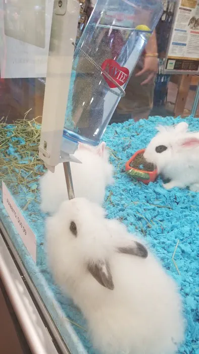 Pets Plus - Lawrenceville Picture 4