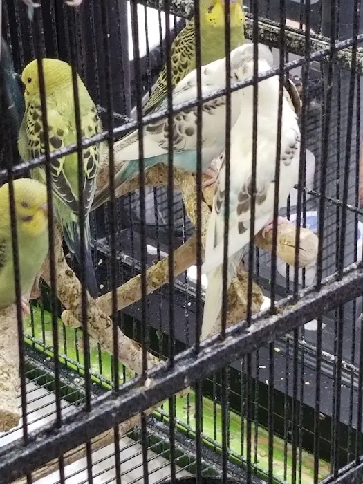 Pets Plus - Lawrenceville Picture 6