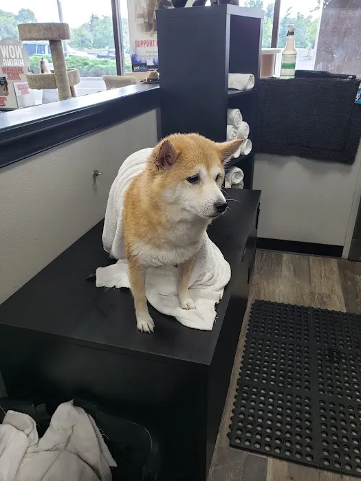 Pets Plus - Lawrenceville Picture 9