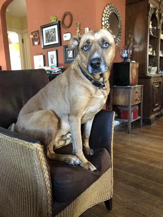 Moontide Veterinary Services Picture 1
