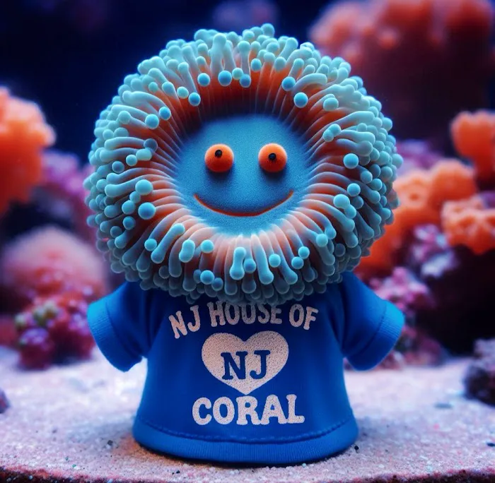 NJ House Of Coral Picture 3