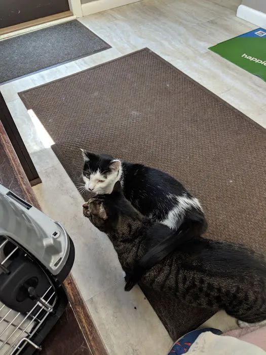 Sycamore Veterinary Hospital: Neubauer S DVM Picture 1