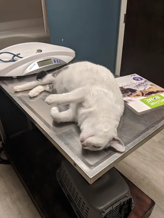 Sycamore Veterinary Hospital Picture 2