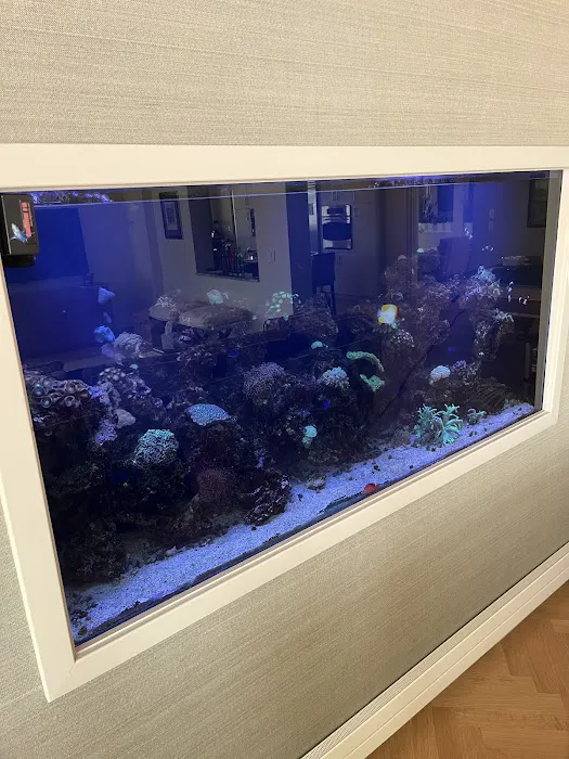 Aquarium Management Systems Picture 3