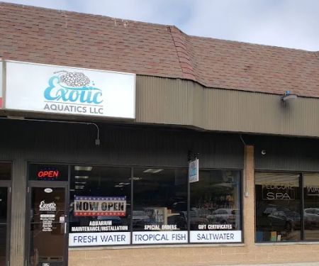 Exotic Aquatics