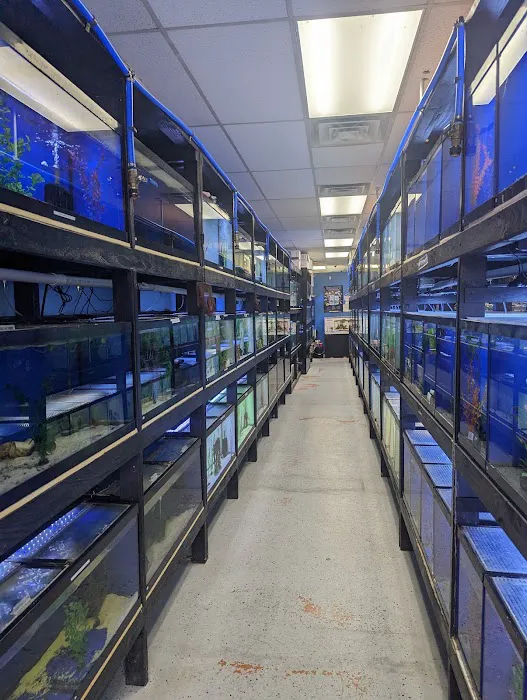 Exotic Aquatics Picture 6