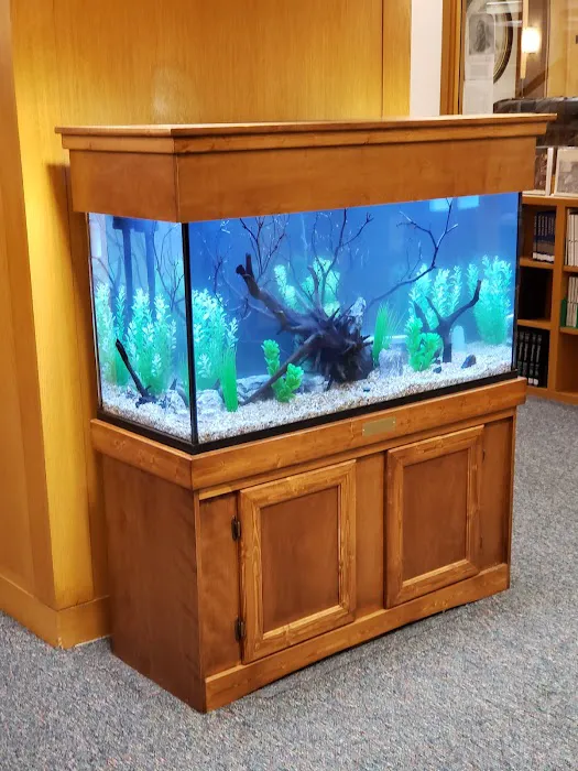 Exotic Aquatics Picture 3