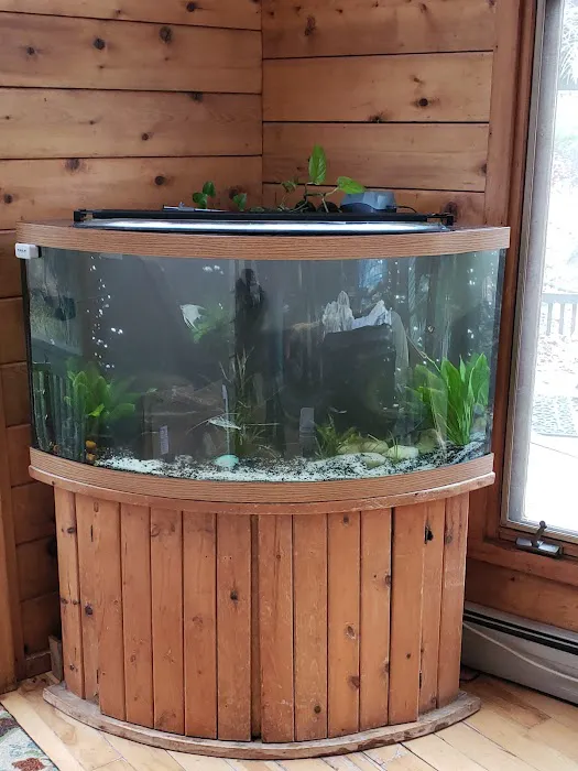 Exotic Aquatics Picture 5