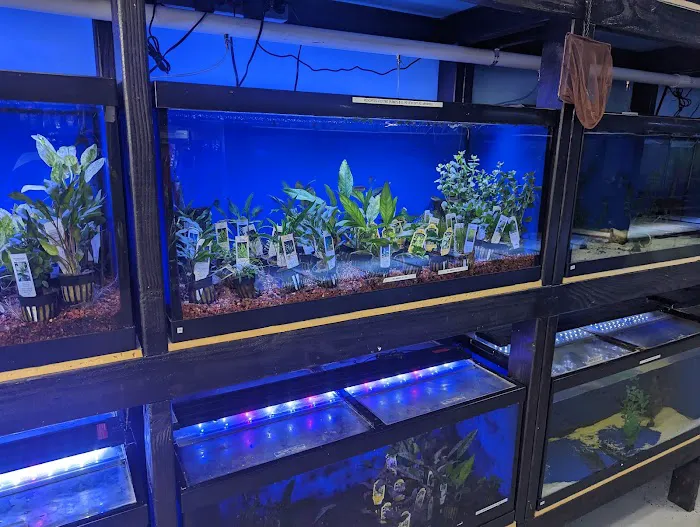 Exotic Aquatics Picture 4