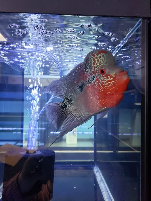 Exotic Aquatics Picture 7