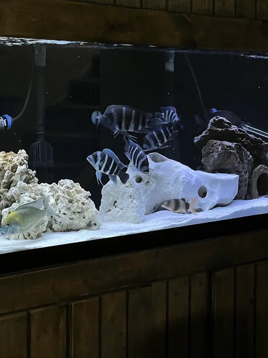 Exotic Aquatics Picture 8