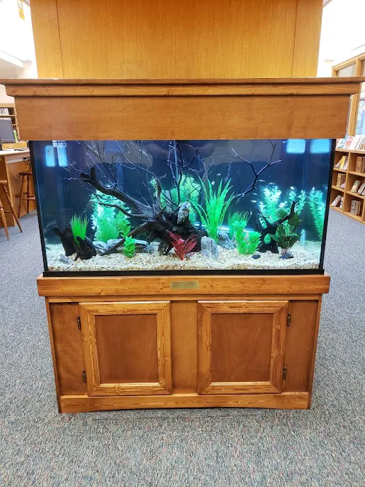 Exotic Aquatics Picture 9