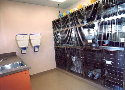 Indian Walk Veterinary Center Picture 8