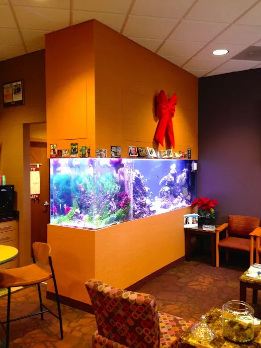Creation of the Sea, LLC Picture 1