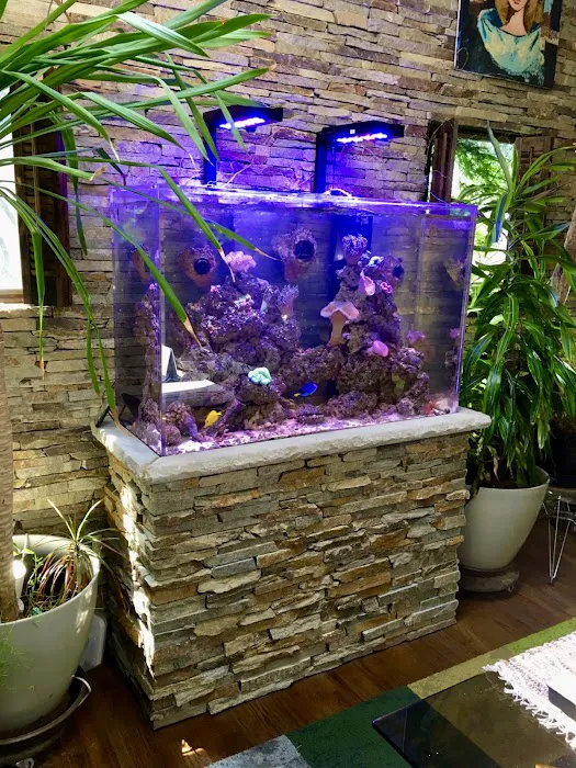 Creation of the Sea, LLC Picture 4