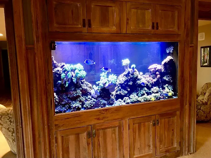 Creation of the Sea, LLC Picture 8