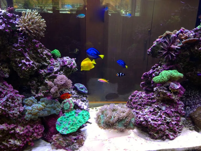 Creation of the Sea, LLC Picture 7