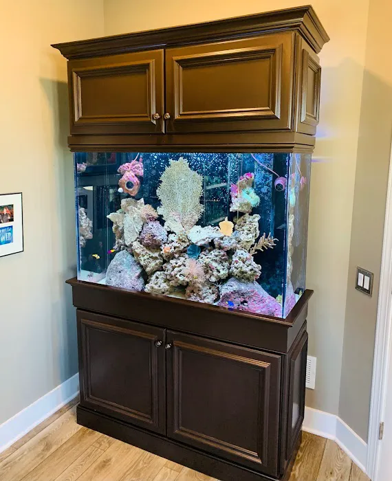 Creation of the Sea, LLC Picture 10