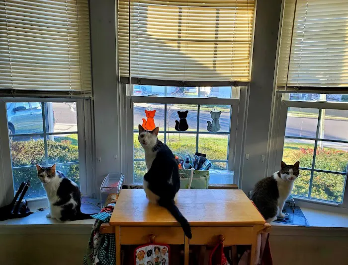 Paws 'N Claws Veterinary Clinic LLC Picture 9