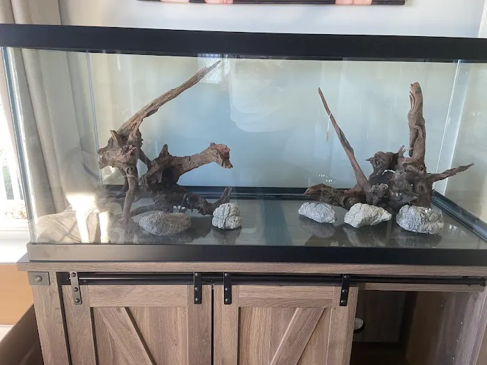 Cuboid Nature Aquarium Picture 4