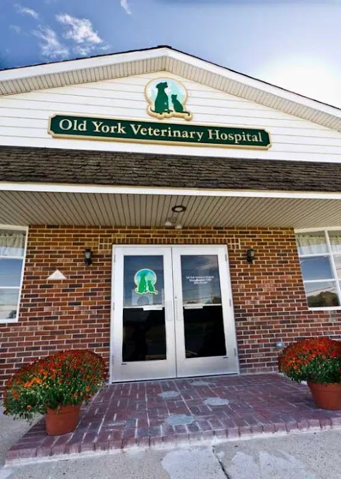 Old York Veterinary Hospital Picture 3