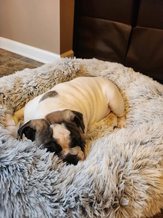 Jack's Dog Farm Picture 1