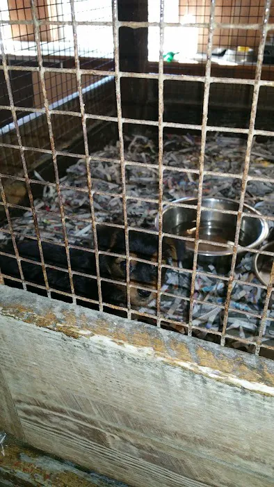 Jack's Dog Farm Picture 3