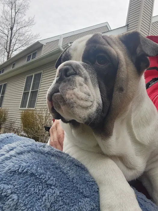 Jack's Dog Farm Picture 7
