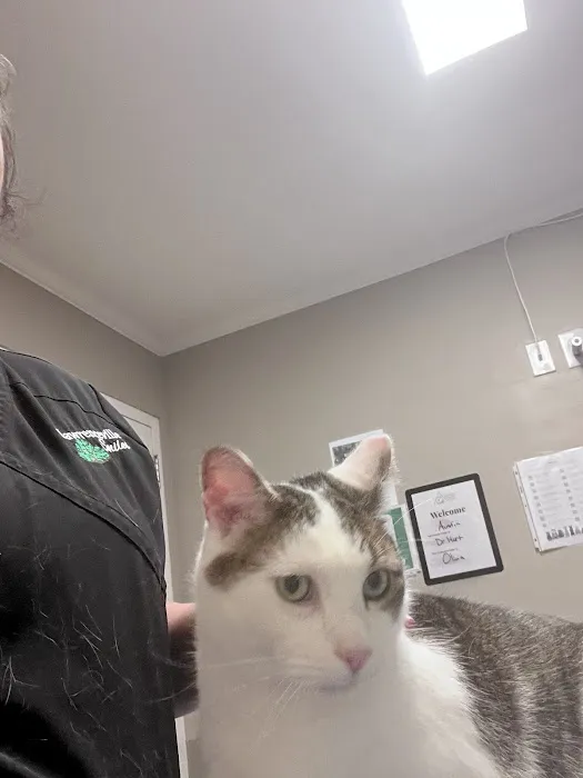 Morrisville Veterinary Hospital Picture 1
