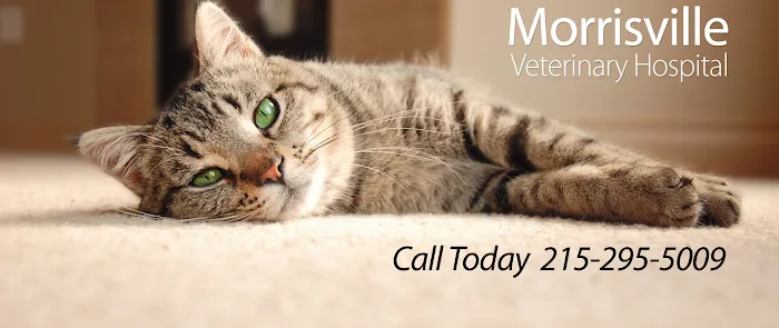 Morrisville Veterinary Hospital Picture 3