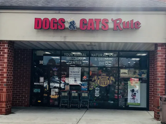 Dogs & Cats Rule Picture 2