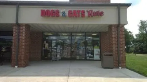 Dogs & Cats Rule Picture 4