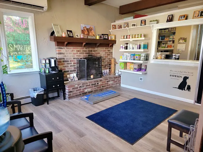 VCA Animal Healing Center Picture 10