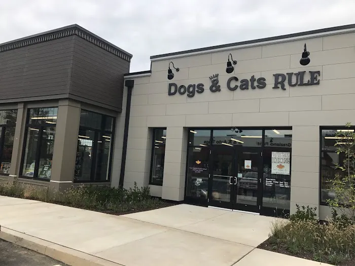 Dogs & Cats Rule Picture 3