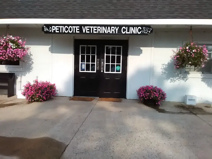 Peticote Veterinary Clinic, LLC Picture 8