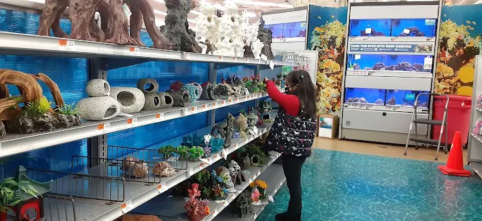 Petco Picture 4