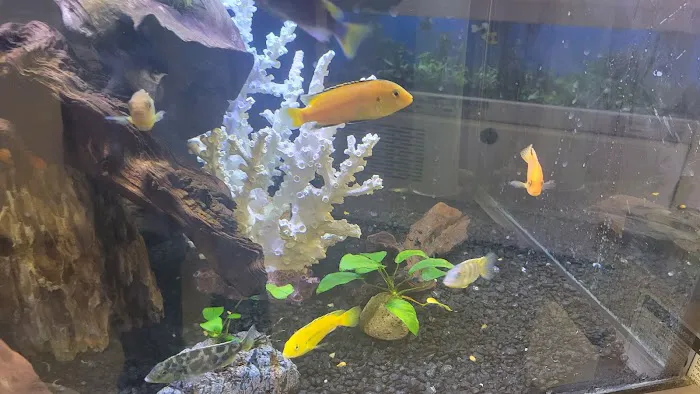 Petco Picture 5